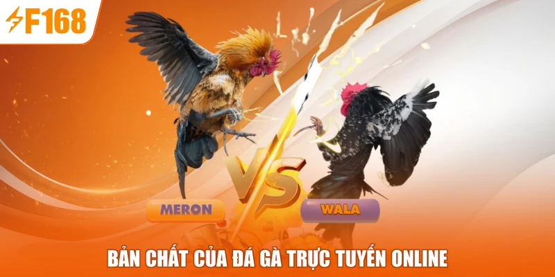 Bản chất của đá gà trực tuyến online