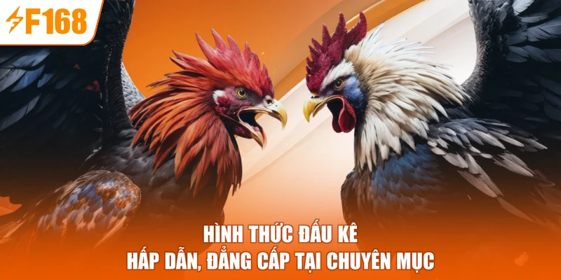 Hình thức đấu kê hấp dẫn, đẳng cấp tại chuyên mục
